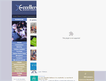 Tablet Screenshot of eccellere.com